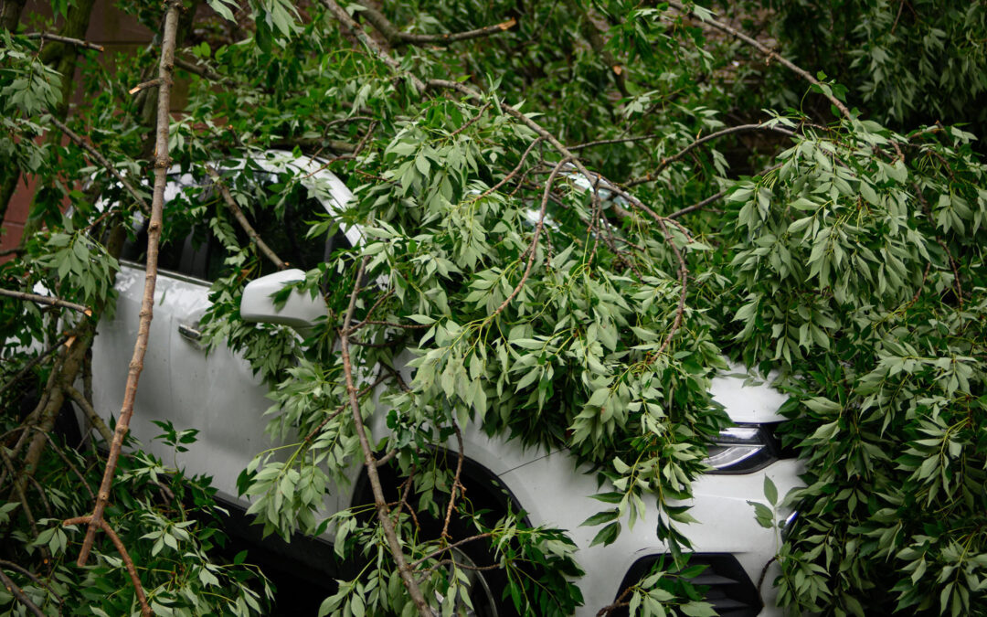 What Happens If You Crash A Rental Car 