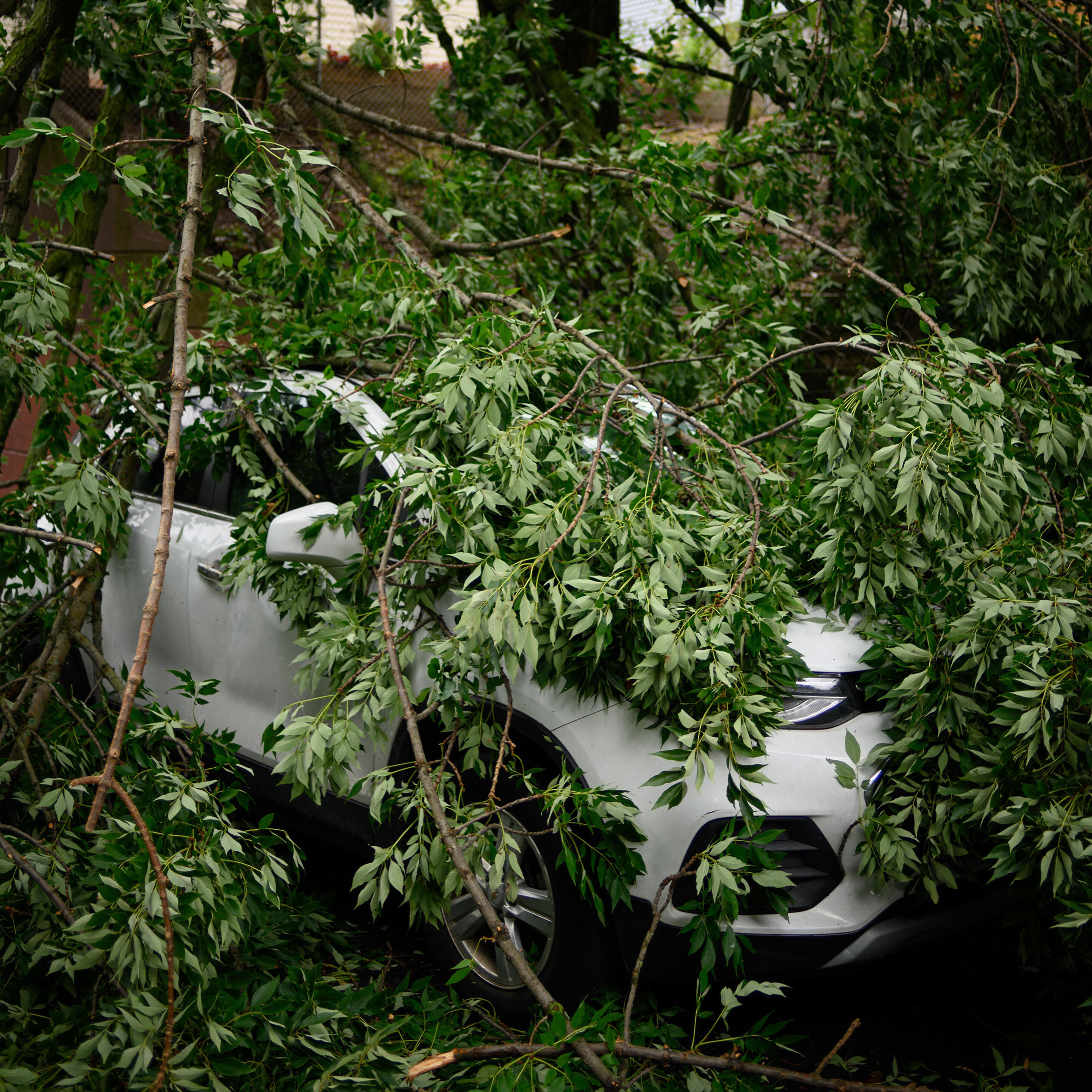What Happens If You Crash A Rental Car?