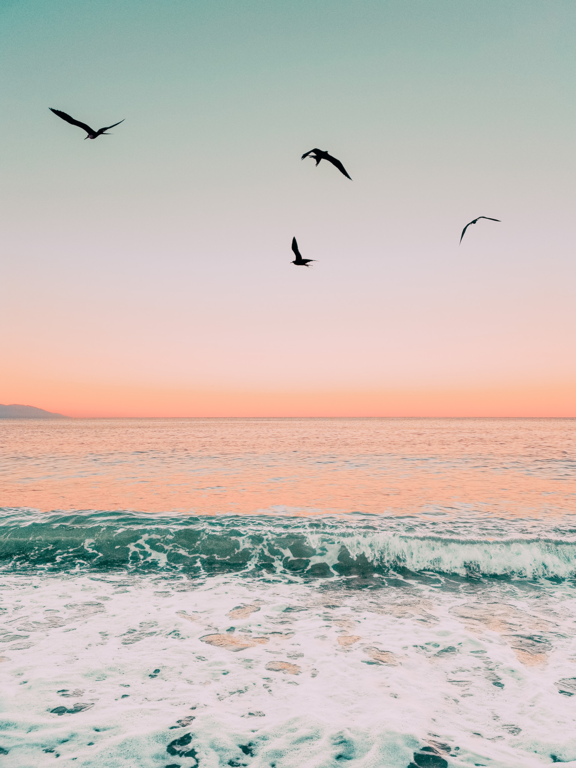 image of the beach in Puerto Vallarta Mexico