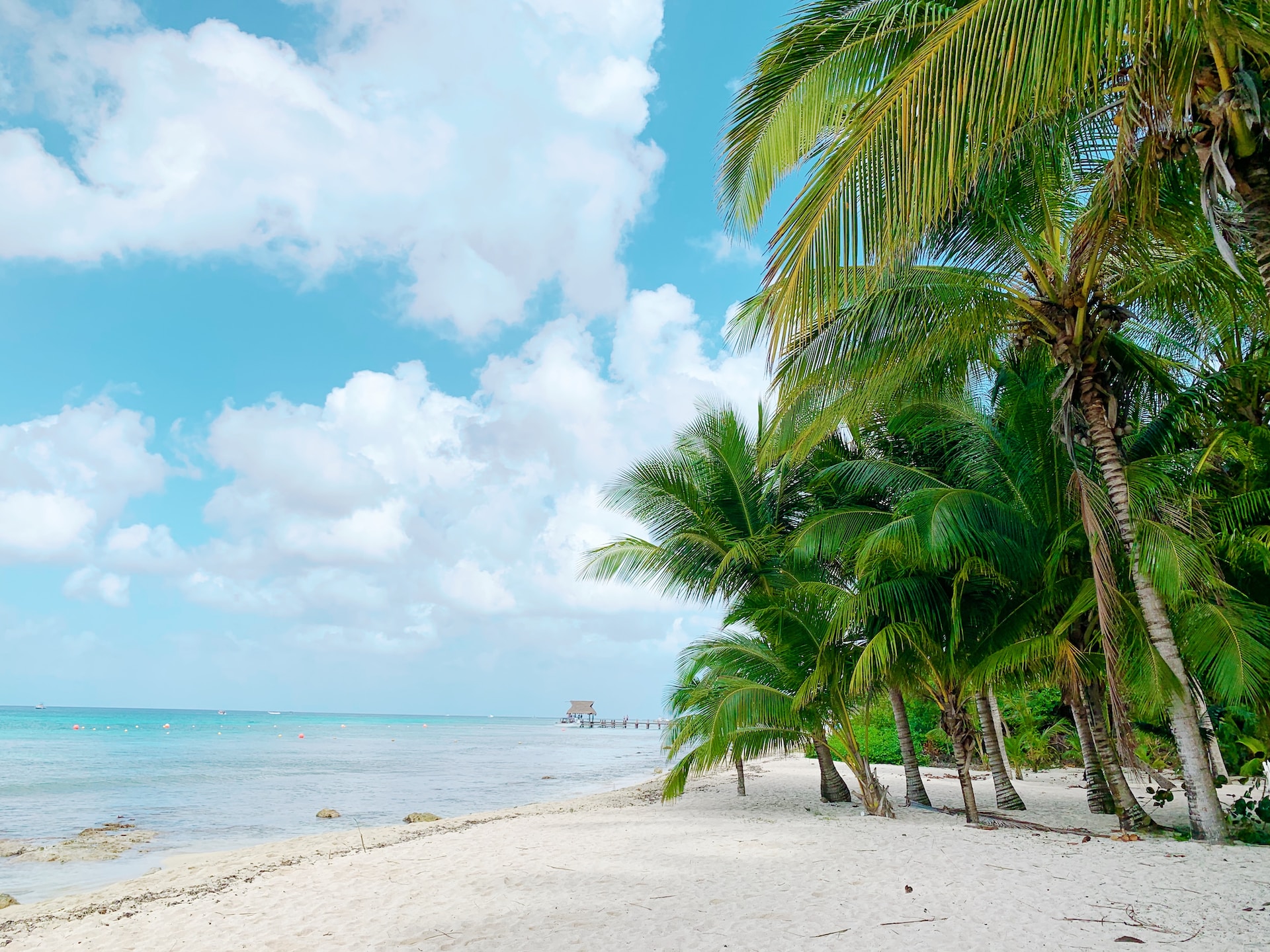 image of Cozumel beach in cancun 