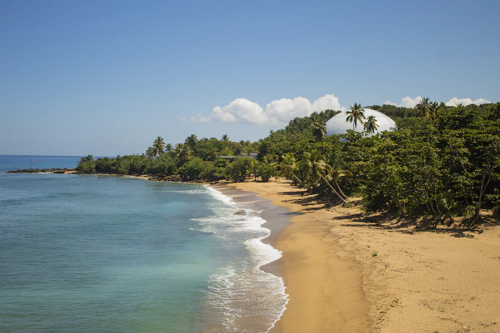 Explore the Best Things to Do in Rincon Puerto Rico in 2023